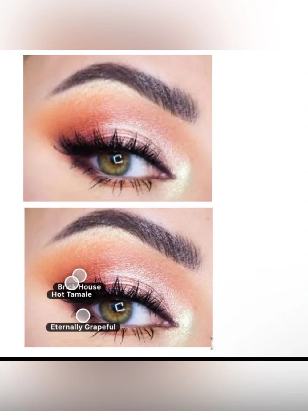 NWT Full Size MAKEUP GEEK Signature Matte Square Eyeshadow “HOT TAMALE”